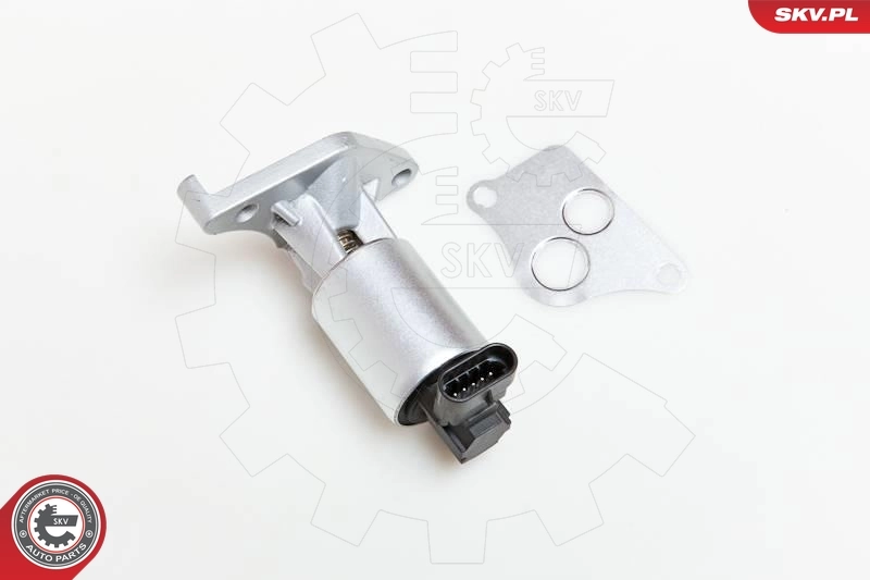 EGR Valve